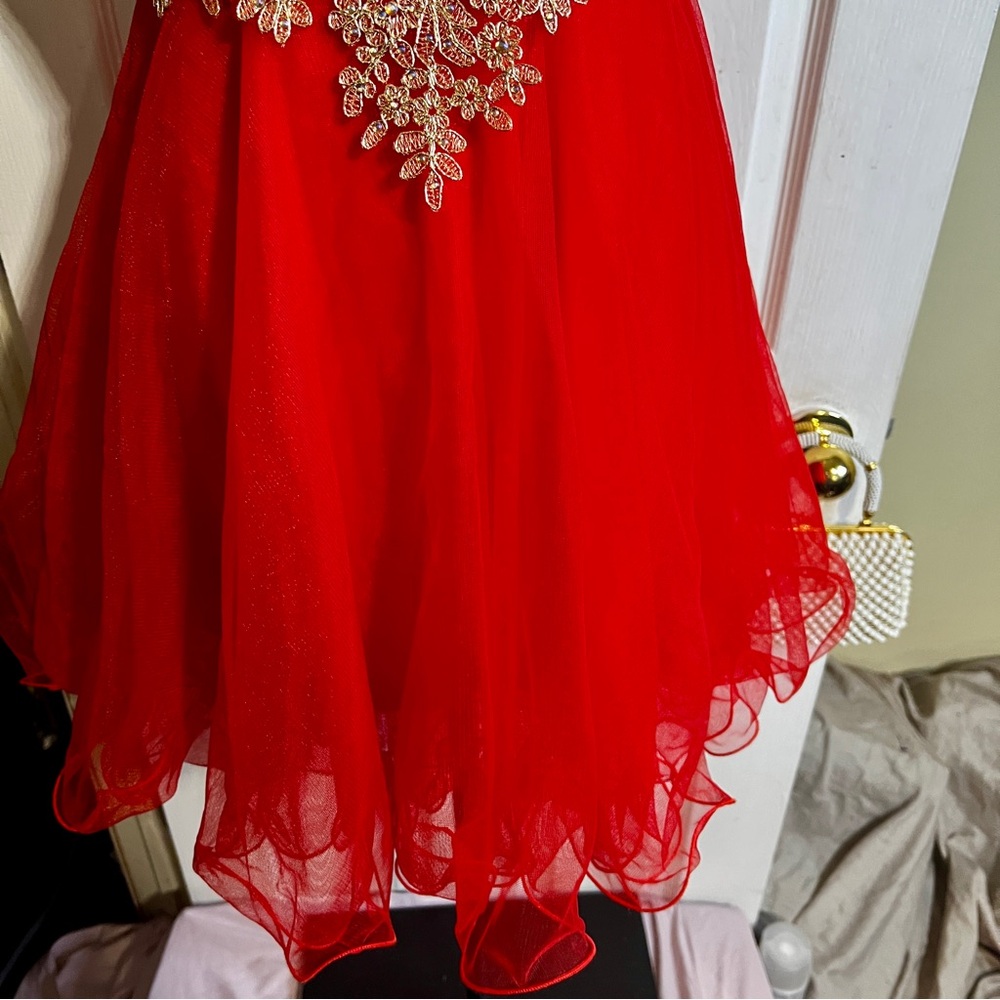 New Babyonline Wms Red Gold Floral Appliqué Embroidery Fit&Flare‎ Party Dress XS - Picture 5 of 13